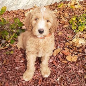 Meet your Posher, Debra